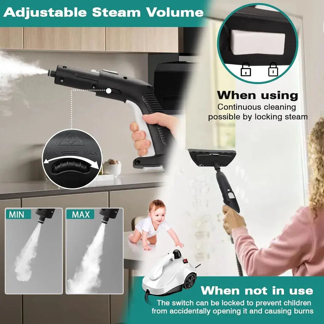 Steam Cleaner.jpg