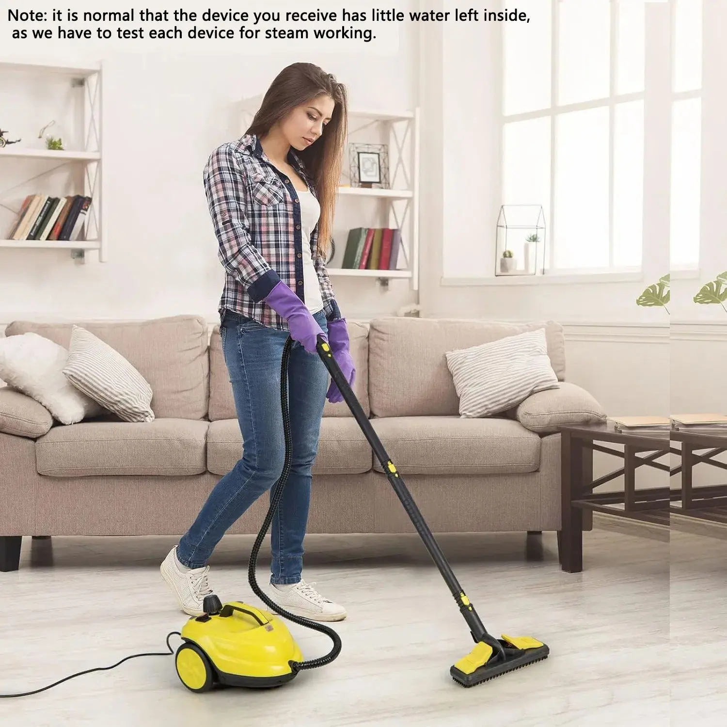 2000w Steam Cleaner.jpg